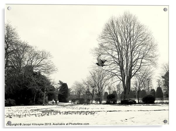 Snowy Day in the Park Acrylic by Jacqui Kilcoyne