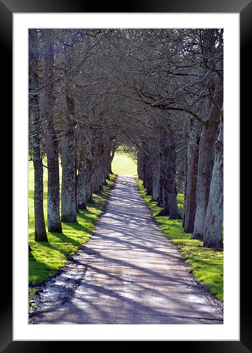 Road to happiness Framed Mounted Print by T2 Images
