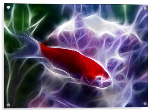 Fractalius Fish Acrylic by Mark Brindle