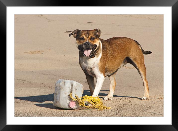 Megan on her Holidays Framed Mounted Print by Elaine Whitby