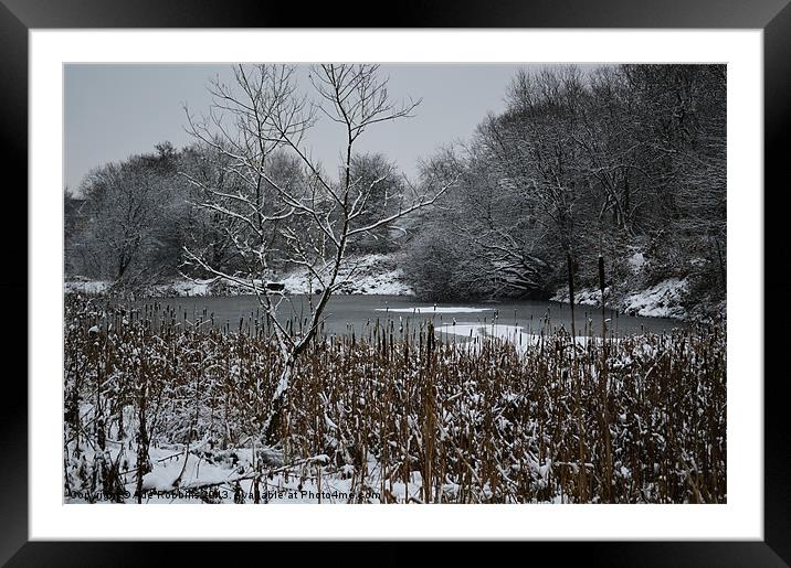 A Snowy Scene Framed Mounted Print by Ade Robbins