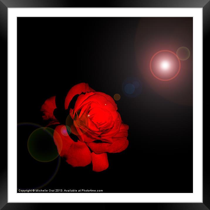Love is a Red, Red Rose Framed Mounted Print by Michelle Orai
