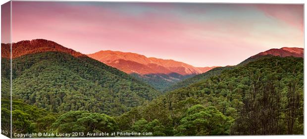 A Natural Highlight Canvas Print by Mark Lucey