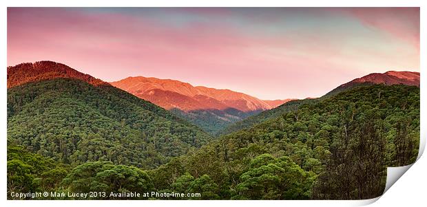 A Natural Highlight Print by Mark Lucey