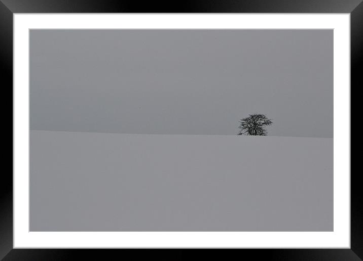 Winter Tree Framed Mounted Print by David Mole