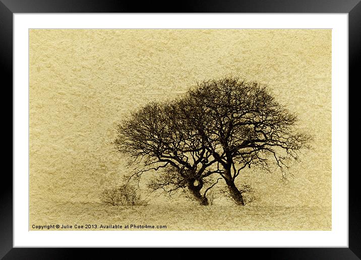 Just Trees Framed Mounted Print by Julie Coe
