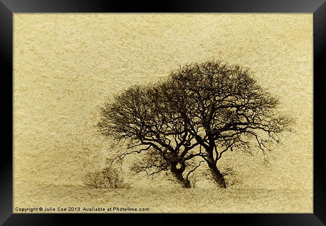 Just Trees Framed Print by Julie Coe