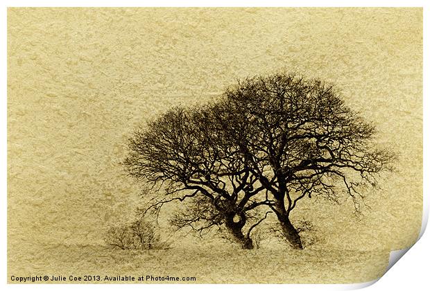Just Trees Print by Julie Coe