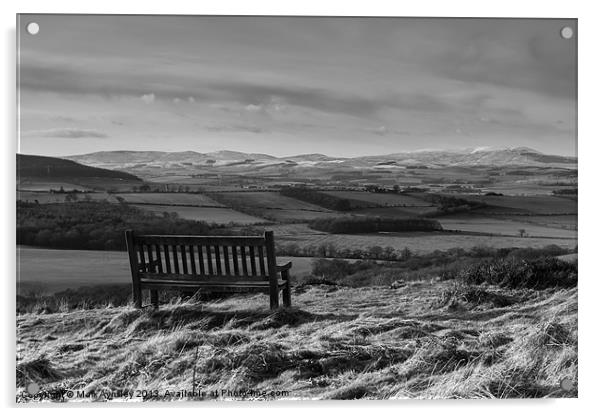 Bench with a view. B&W Acrylic by Mark Aynsley
