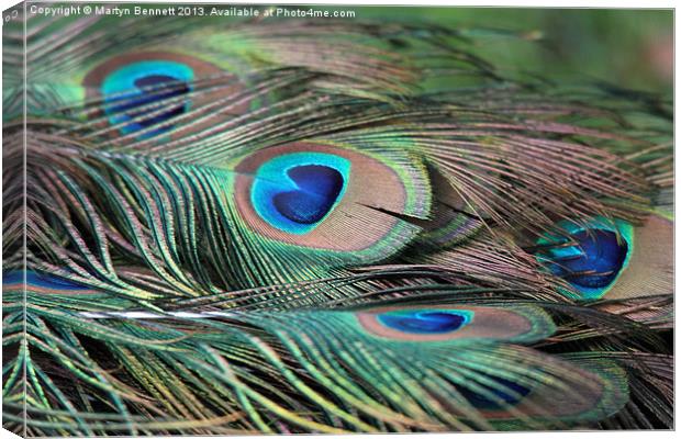 feathers Canvas Print by Martyn Bennett