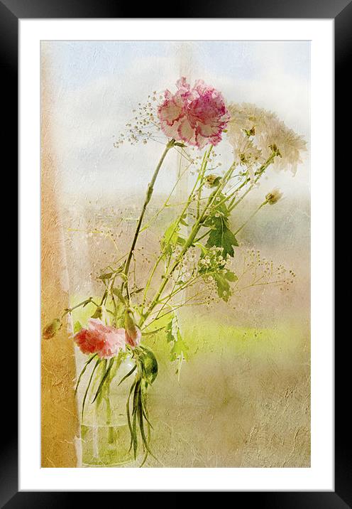 Present for Mother Framed Mounted Print by Dawn Cox