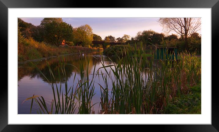 Grand Western Canal. Tiverton. Devon Framed Mounted Print by Stephen Walters