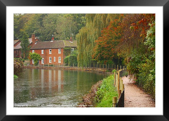 RIVER ITCHEN COTTAGE IN AUTUMN Framed Mounted Print by Anthony Kellaway