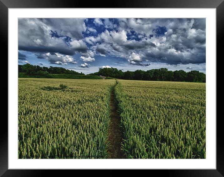a straight path Framed Mounted Print by Jo Beerens