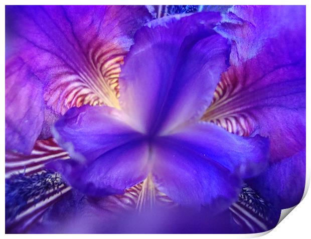 Abstract Iris Print by Donna-Marie Parsons