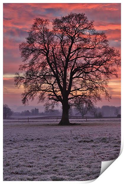 They stand alone Print by simon powell