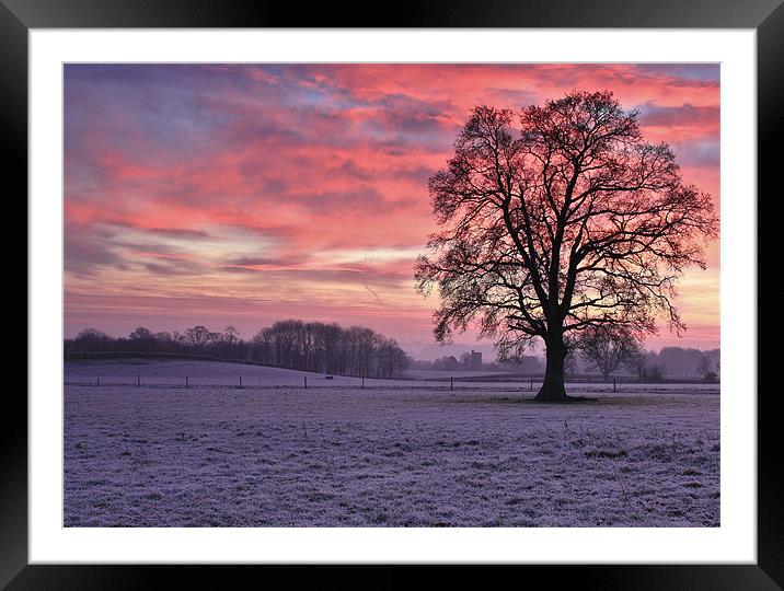 They stand alone (landscape) Framed Mounted Print by simon powell