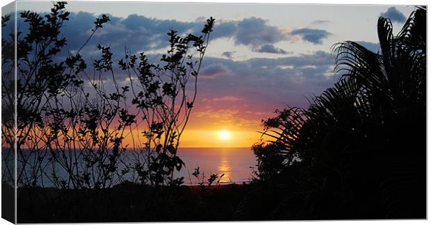 Glorious Sunset Canvas Print by james balzano, jr.