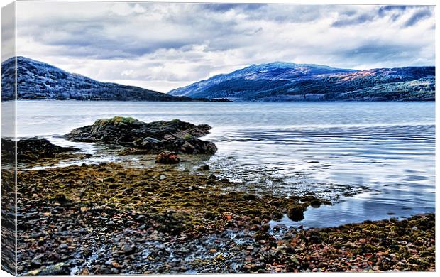 Solitude by a Scottish Loch Canvas Print by Jacqi Elmslie