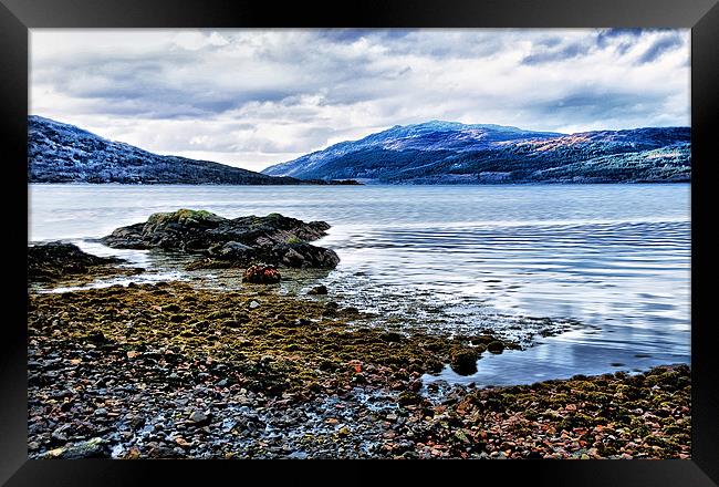 Solitude by a Scottish Loch Framed Print by Jacqi Elmslie