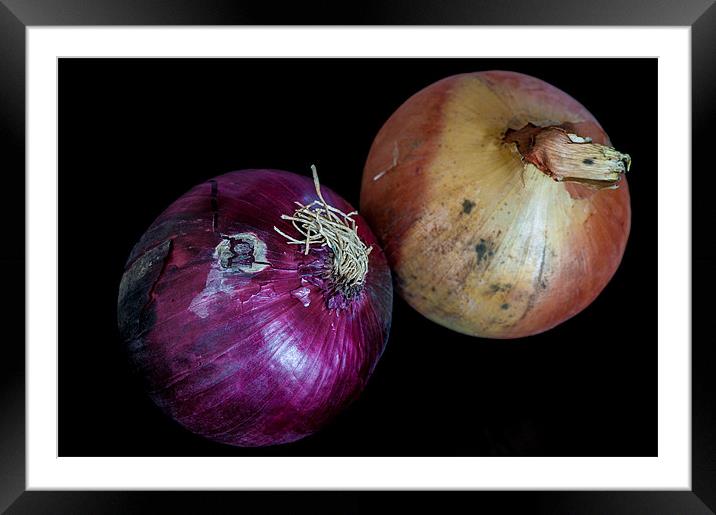 Onions Framed Mounted Print by Mark Llewellyn