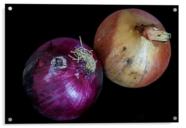 Onions Acrylic by Mark Llewellyn