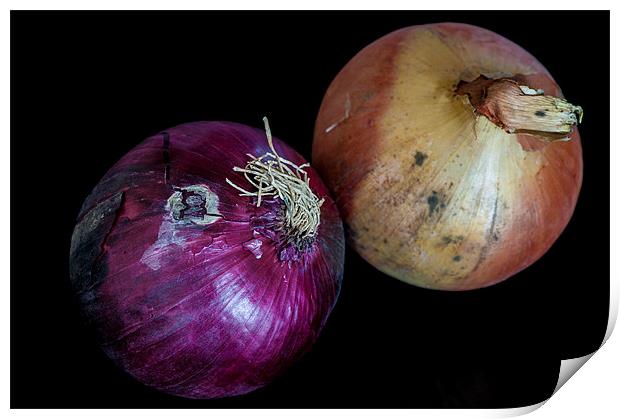 Onions Print by Mark Llewellyn