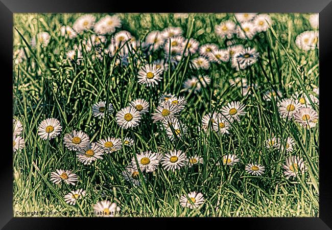 Daisy Carpet Framed Print by Julie Coe