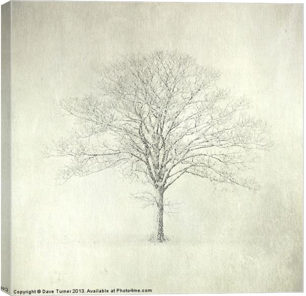 Tree in the Snow, Wramplingham, Norfolk Canvas Print by Dave Turner