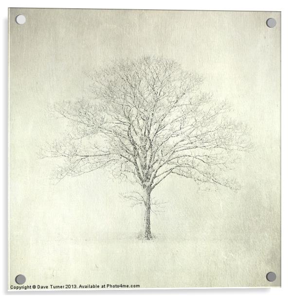 Tree in the Snow, Wramplingham, Norfolk Acrylic by Dave Turner