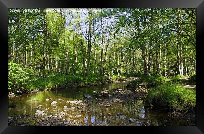 River scene Hamsterley Forest Framed Print by Rob Washington