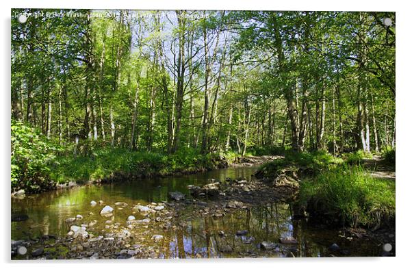 River scene Hamsterley Forest Acrylic by Rob Washington