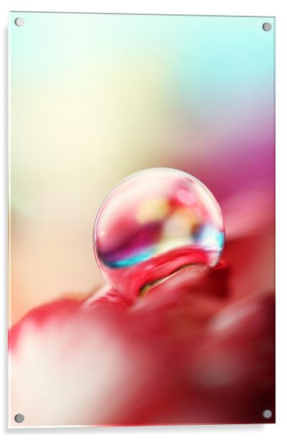 Dreamy Droplet Acrylic by Sharon Johnstone