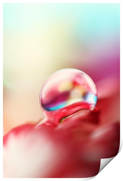 Dreamy Droplet Print by Sharon Johnstone