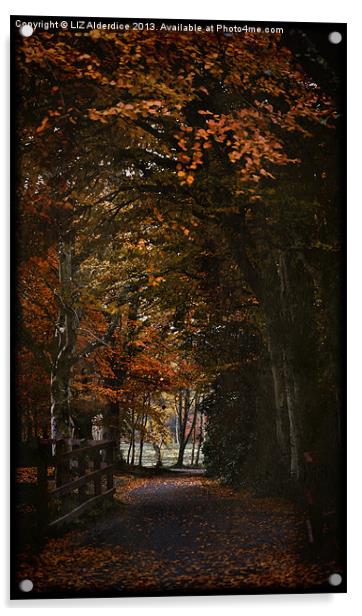 Scottish Woodland Acrylic by LIZ Alderdice