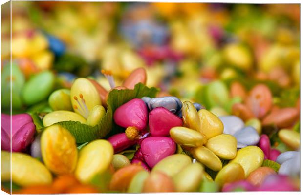 Flower Sweeties Canvas Print by Stuart Gennery