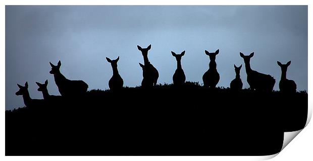 Red deer silhouettes Print by Macrae Images