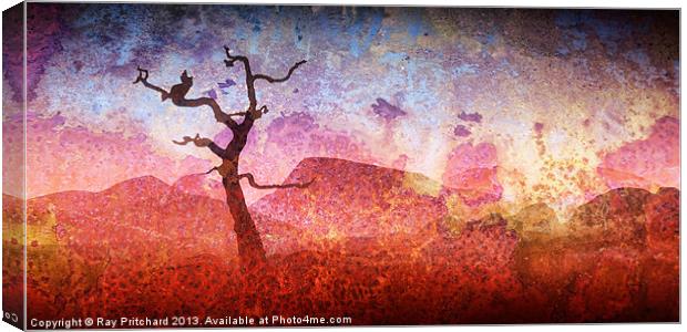 Textured Tree Canvas Print by Ray Pritchard