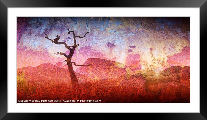 Textured Tree Framed Mounted Print by Ray Pritchard