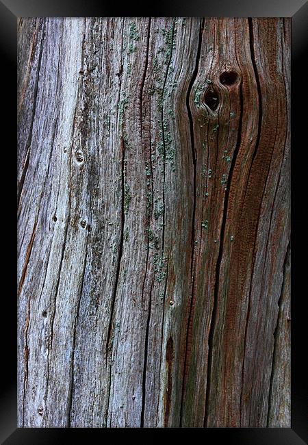 Texture in decay 1 Framed Print by simon powell