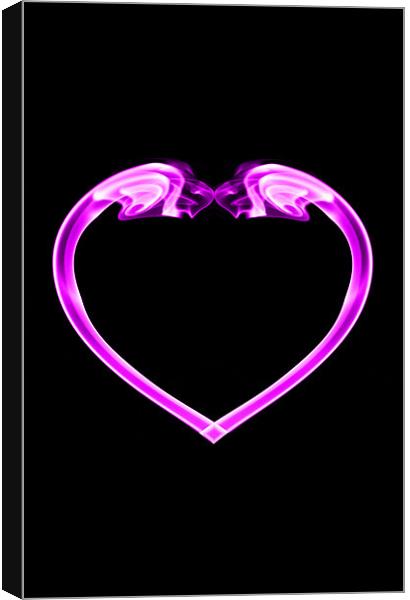 Pink heart on black Canvas Print by Steve Purnell
