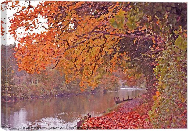 RIVER ITCHEN IN AUTUMN OIL. Canvas Print by Anthony Kellaway