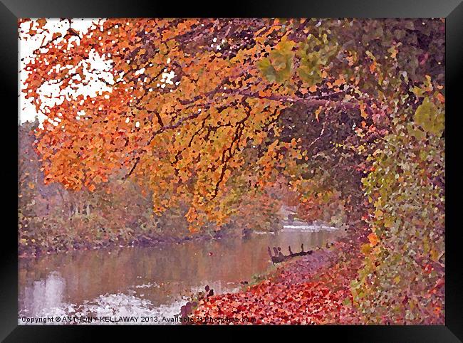 RIVER ITCHEN IN AUTUMN OIL. Framed Print by Anthony Kellaway