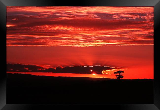 Sunset in Somerset Framed Print by Stephen Walters