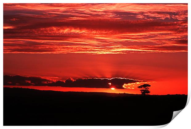 Sunset in Somerset Print by Stephen Walters