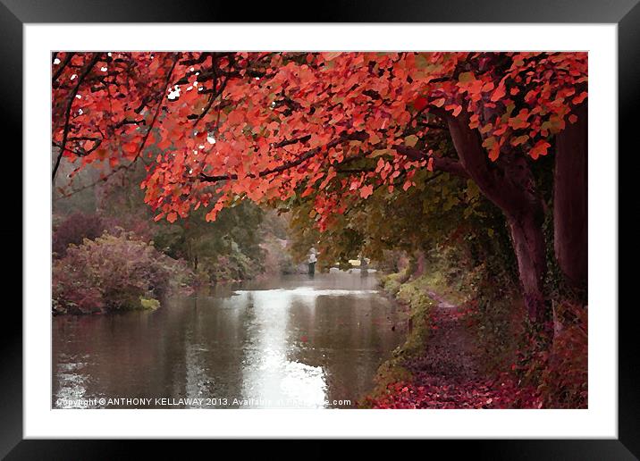 ITCHEN NAVIGATION AUTUMN OILS Framed Mounted Print by Anthony Kellaway