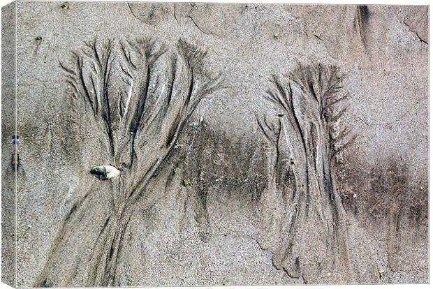 A Couple of Trees Canvas Print by james balzano, jr.