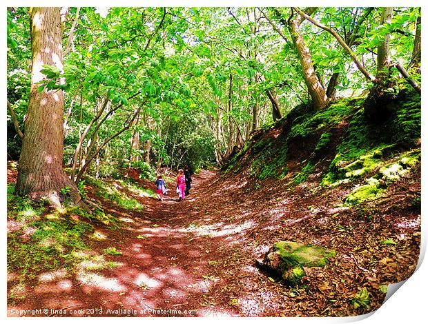 a woodland walk..... Print by linda cook