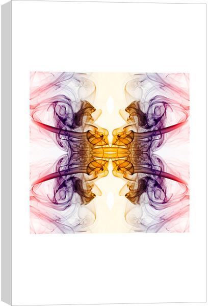 Smokey butterfly 2 Canvas Print by Steve Purnell