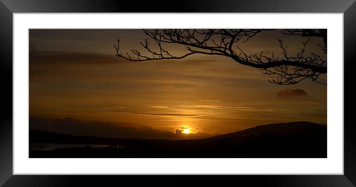 Golden light in Dingle Framed Mounted Print by barbara walsh